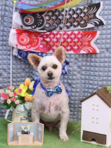 20230527ポンタくん